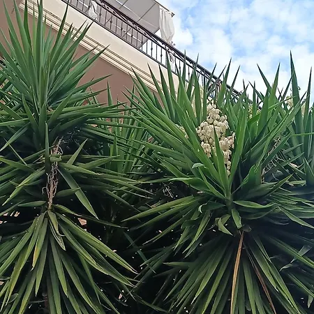 Beb Dragonara Appartement *